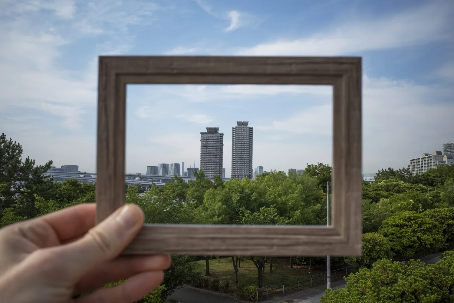 Dia da Proteção das Florestas: Balneário Camboriú como uma Cidade Sustentável e seu Impacto no Mercado Imobiliário.