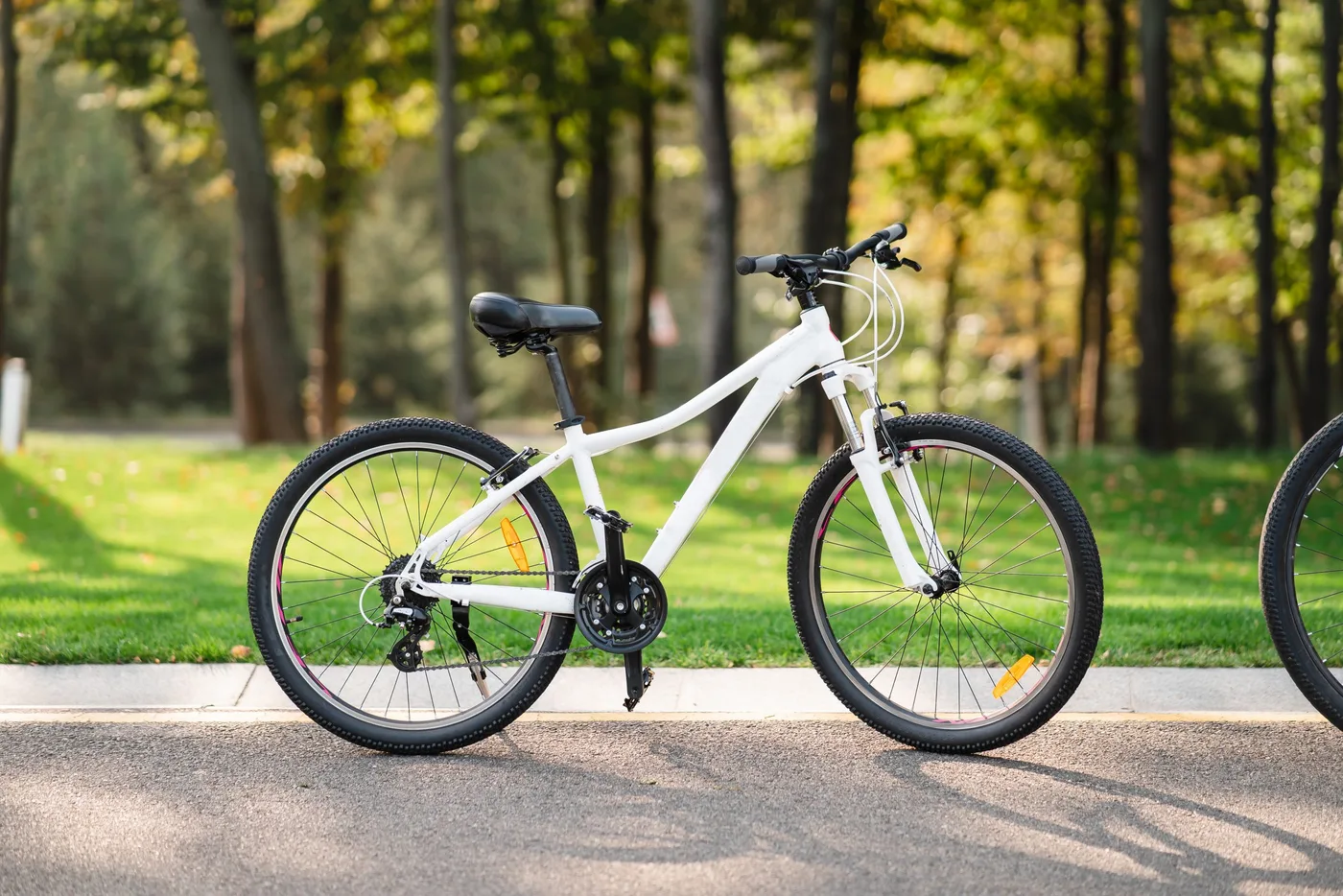 white-bicycle-standing-park-scaled