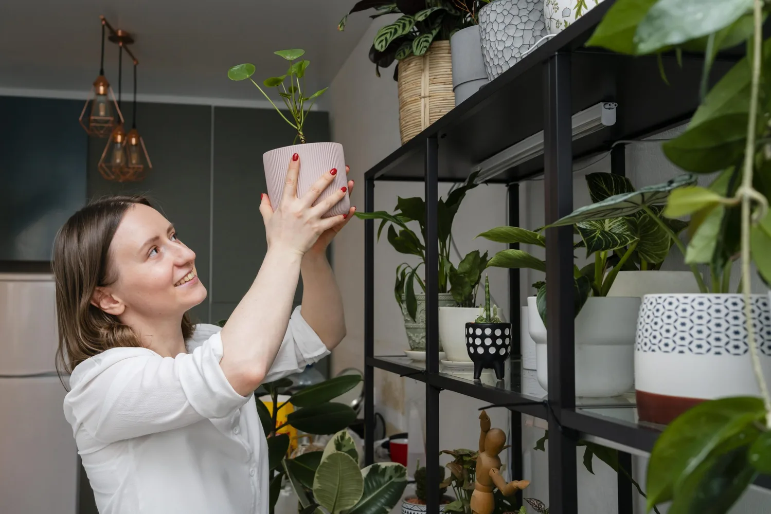 Transforme Seu Apartamento Litorâneo em um Refúgio Verde: Plantas Ideais e Dicas de Cultivo.