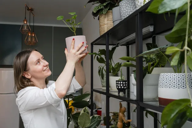 Transforme Seu Apartamento Litorâneo em um Refúgio Verde: Plantas Ideais e Dicas de Cultivo.