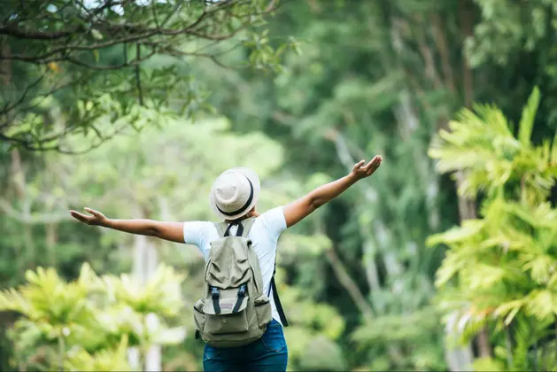 Celebre o Dia Nacional do Turismo Ecológico em Balneário Camboriú