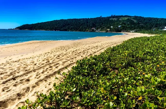 bandeira-azul-praia-de-taquaras