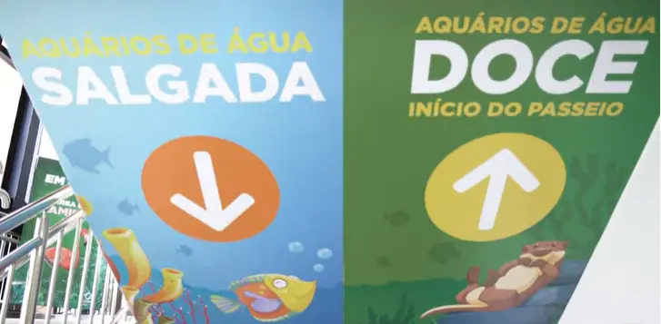aquario-4