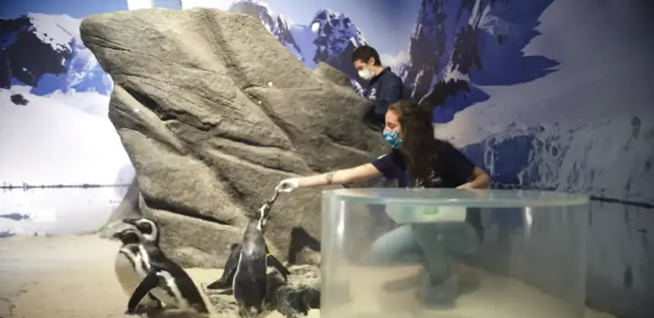 aquario-2