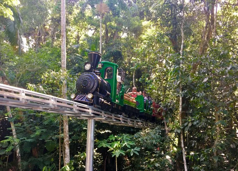 trenzinho-01-768x552-1