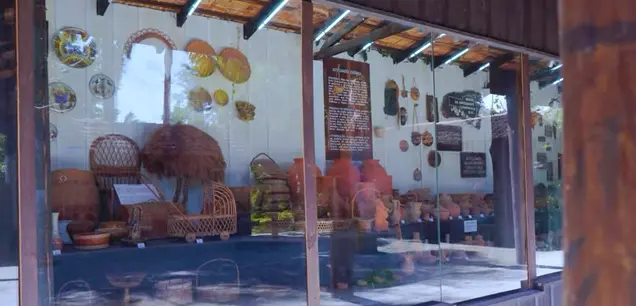 zoologico-4