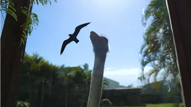 zoologico