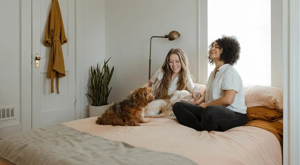 Cachorro-em-apartamento-cuidados-com-seu-pet-2-1024x563