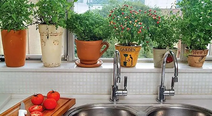 Horta-em-apartamento-como-ter-a-sua-2