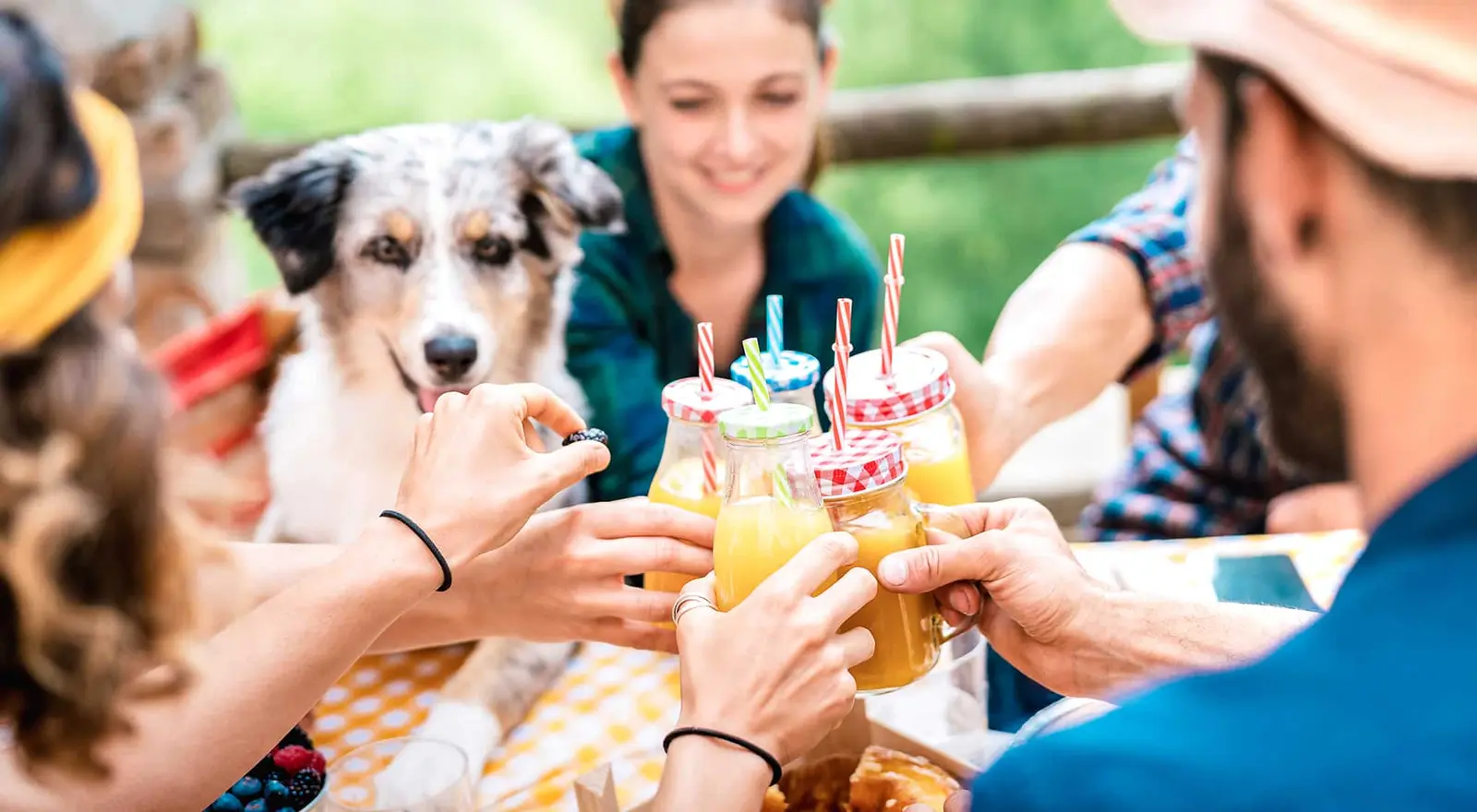 Os 5 melhores restaurantes pet friendly de Balneário Camboriú