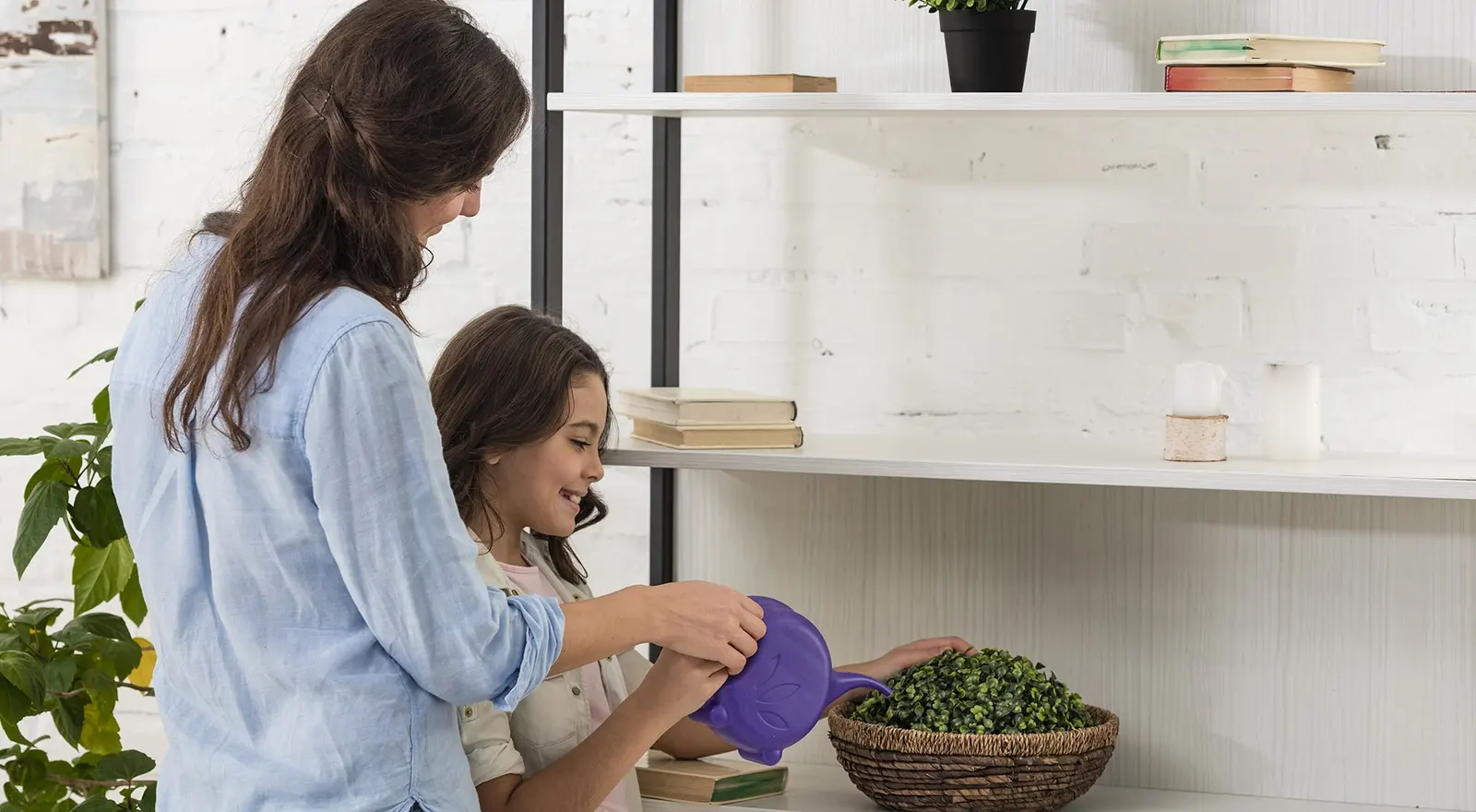 Horta em apartamento: como ter a sua?