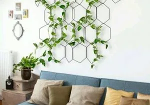 plantas-apartamento-alugado-300x210