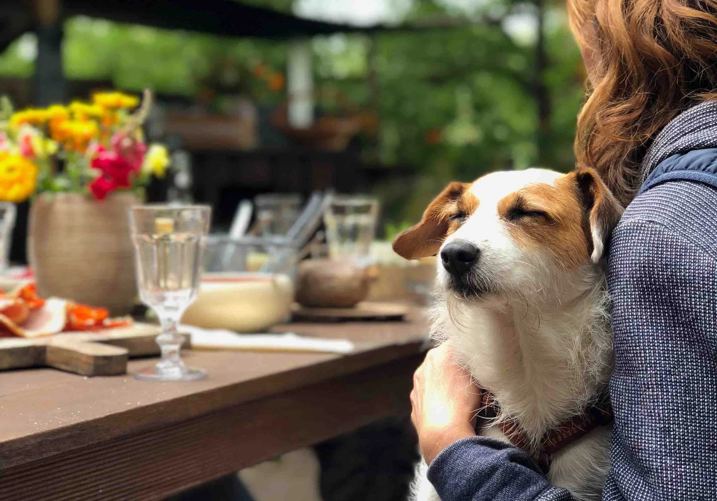 5 lugares pet friendly em Balneário Camboriú