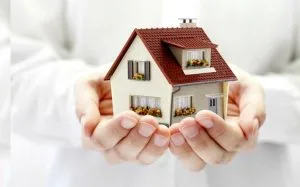 holding patrimonial